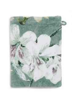 ESSENZA Rosalee Grün Waschhandschuhe 16 x 22 cm