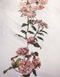 Essenza Dorena Wit Kussensloop 60 x 70 cm