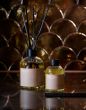 Essenza Powder Portrait Transparent Reed diffuser 250ml