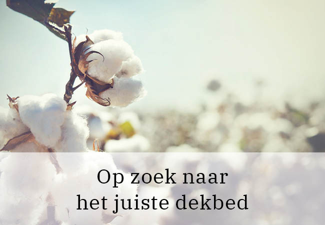 Op zoek naar het juiste dekbed Op zoek naar het juiste dekbed
