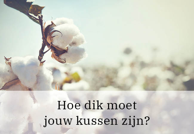 Hoe dik moet jouw kussen zijn? Hoe dik moet jouw kussen zijn?