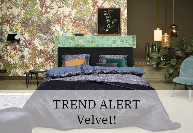 Trend alert: Velvet! Trend alert: Velvet!