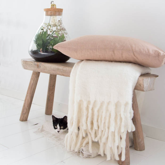 Loutje, de kat van Ilse Loutje, de kat van Ilse