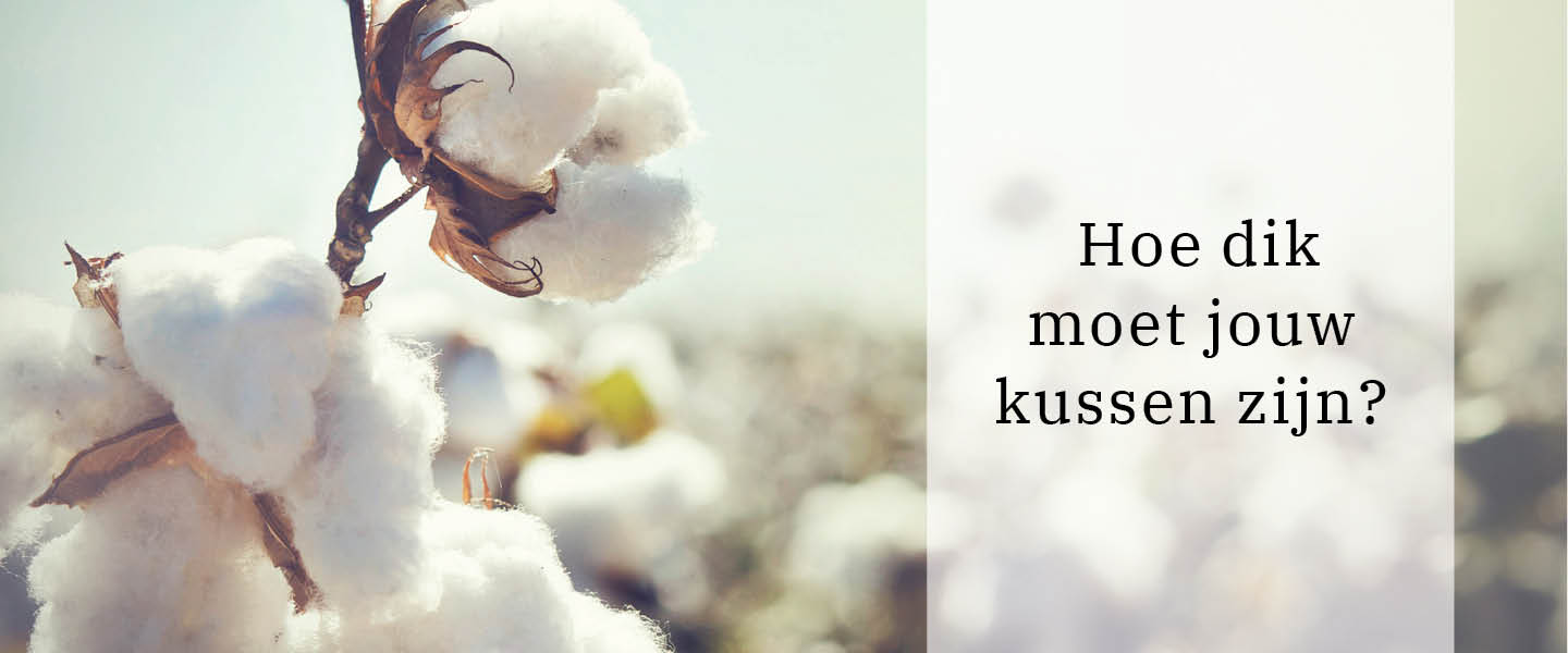 Hoe dik moet jouw kussen zijn? Hoe dik moet jouw kussen zijn?