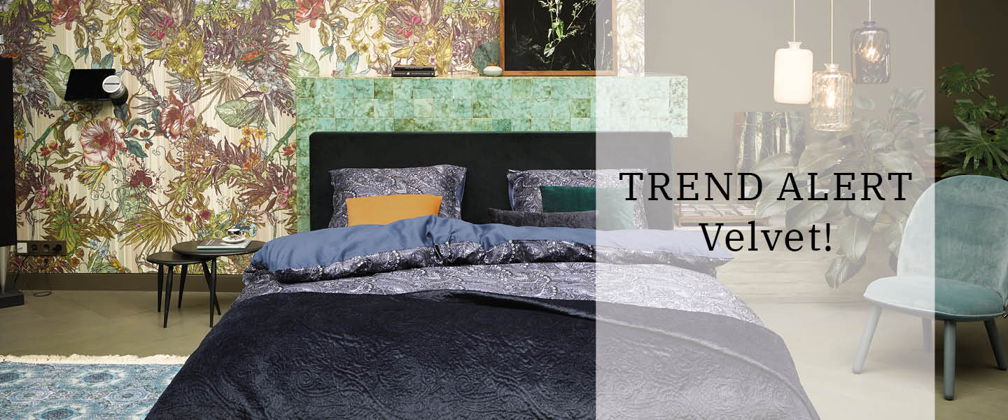 Trend alert: Velvet! Trend alert: Velvet!