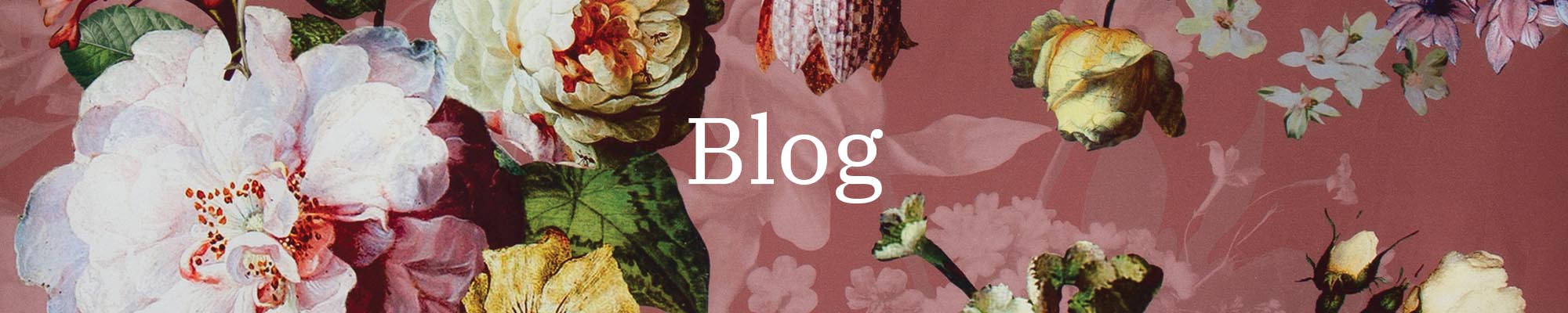 blog