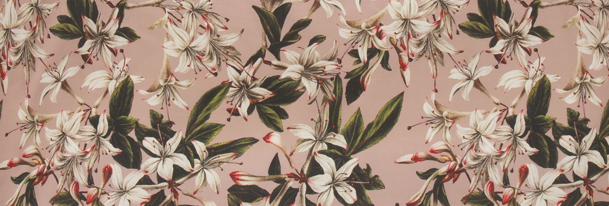Behind The Print: Verano Behind The Print: Verano