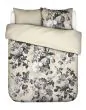 ESSENZA Floor Vanille Dekbedovertrekset 240 x 220 cm