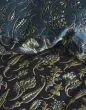 ESSENZA Issadore Darkest blue Dekbedovertrekset 140 x 220 cm