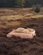 ESSENZA Maere Pink Sand Dekbedovertrekset 140 x 220 cm