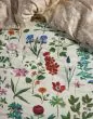 ESSENZA Marigold Vanille Dekbedovertrekset 260 x 220 cm