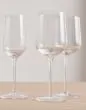 Marc O'Polo Moments Transparent Rode wijnglas 45 cl
