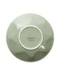 ESSENZA Sculpture Stone green Kop en schotel 22 cl