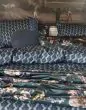 ESSENZA Tesse Reef green Dekbedovertrekset 200 x 220 cm