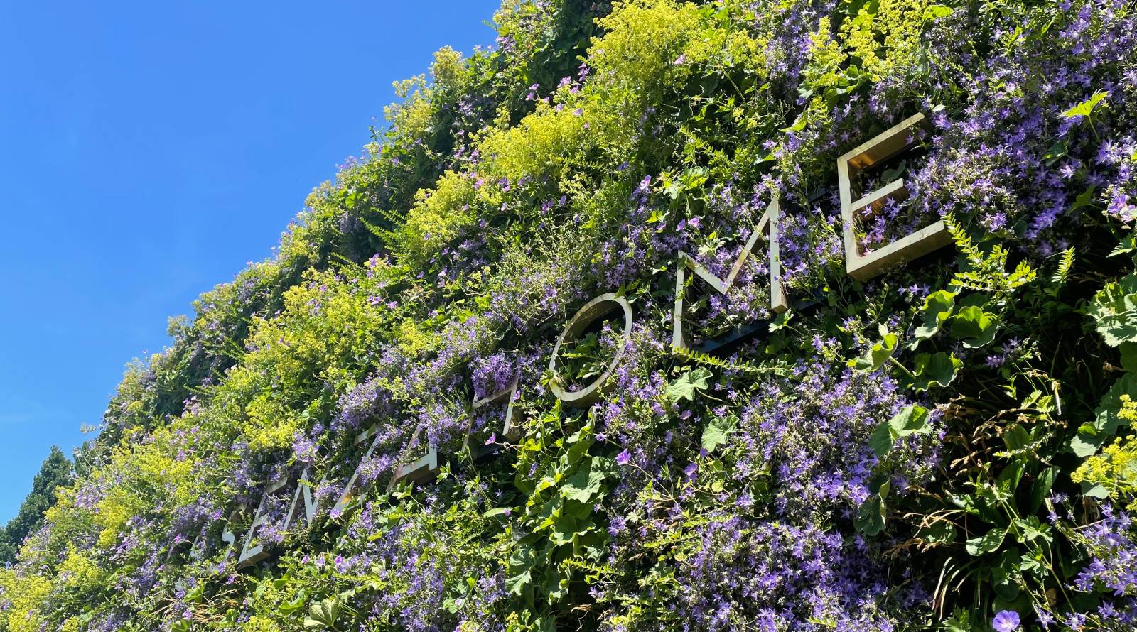 9x de voordelen van een groene wand