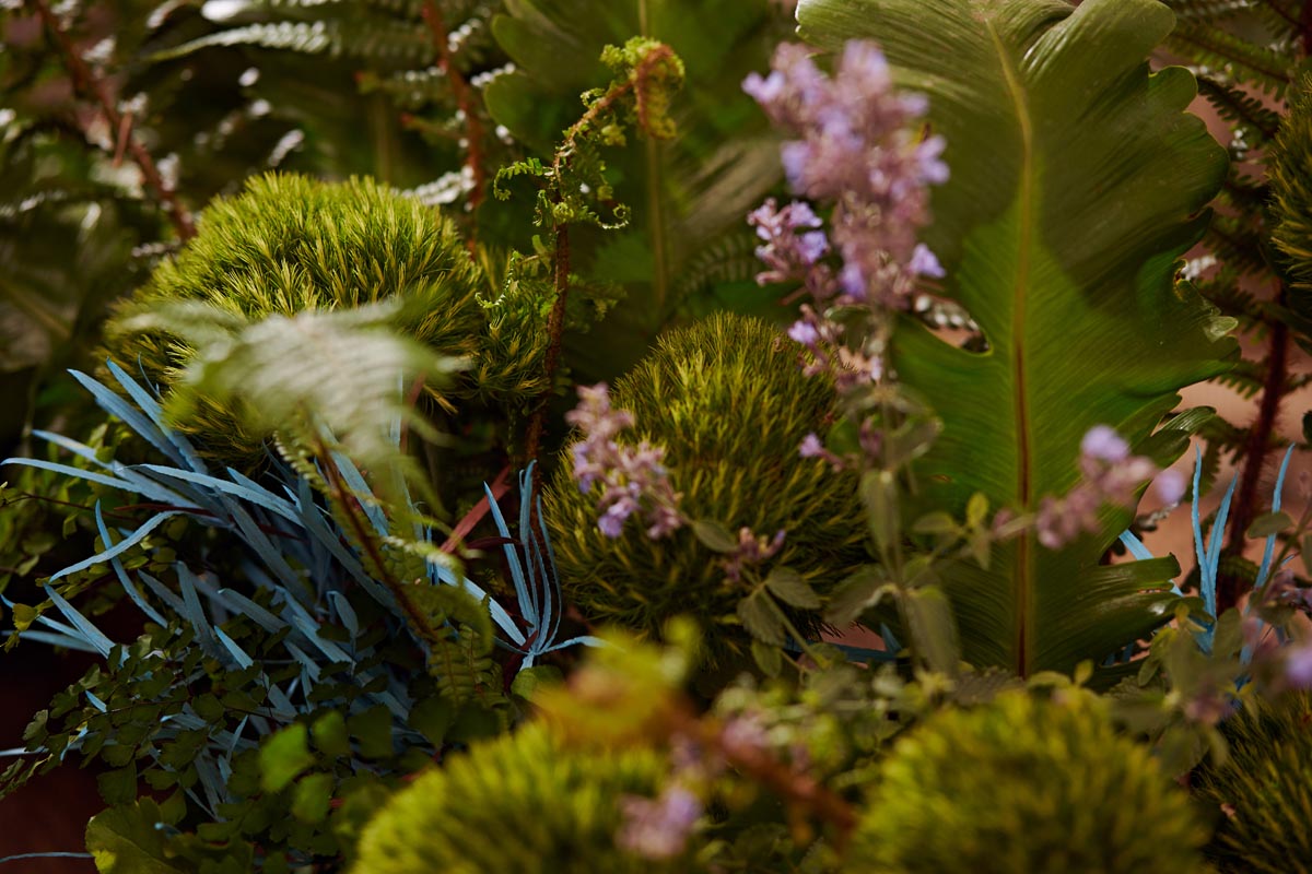 Waar moet je op letten als je planten in de slaapkamer zet?